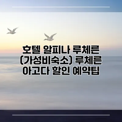 호텔 알피나 루체른 (가성비숙소) 루체른 아고다 할인 예약팁