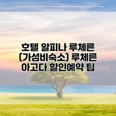 호텔 알피나 루체른 (가성비숙소) 루체른 아고다 할인예약 팁