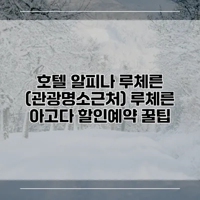 호텔 알피나 루체른 (관광명소근처) 루체른 아고다 할인예약 꿀팁
