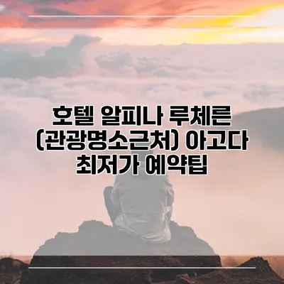 호텔 알피나 루체른 (관광명소근처) 아고다 최저가 예약팁