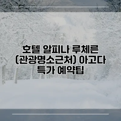 호텔 알피나 루체른 (관광명소근처) 아고다 특가 예약팁