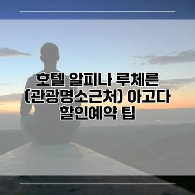 호텔 알피나 루체른 (관광명소근처) 아고다 할인예약 팁