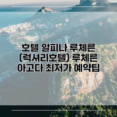 호텔 알피나 루체른 (럭셔리호텔) 루체른 아고다 최저가 예약팁