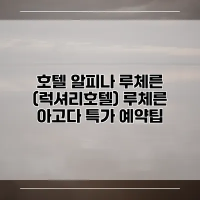 호텔 알피나 루체른 (럭셔리호텔) 루체른 아고다 특가 예약팁