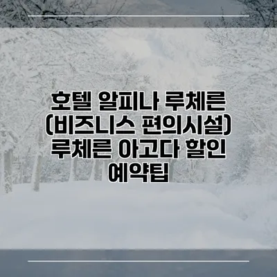 호텔 알피나 루체른 (비즈니스 편의시설) 루체른 아고다 할인 예약팁