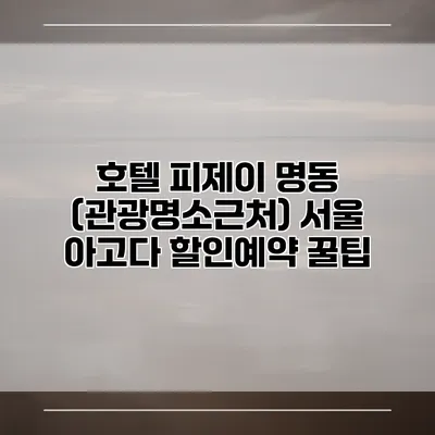 호텔 피제이 명동 (관광명소근처) 서울 아고다 할인예약 꿀팁
